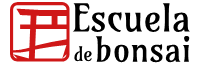 tienda de la escuela de bonsai online