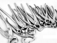 Set de Herramientas bonsai