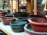 Macetas para bonsai sin esmaltar