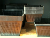 Los coladores se utilizan para crear un nebari correcto y para conseguir que tronco y ramas engorden