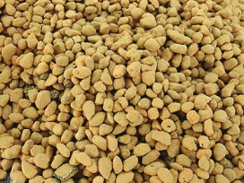 Kiriu sustrato bonsai