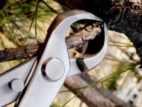 vaciadora esferica de acero inoxidable para bonsai