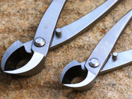 Imprescindibles para la correcta poda y formación de un bonsai. Podadoras y vaciadoras para bonsai