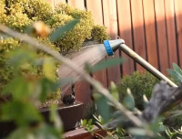 regando bonsais con una lanza de riego de la marca kikuwa